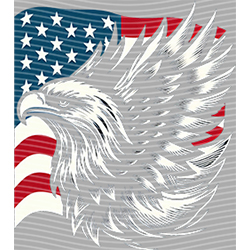 USA-MG 3730